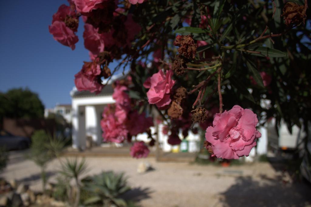 Bed and Breakfast Puravida Divehouse Sagres Exterior foto